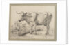 Study of a cow, after Paul Potter by Edward William Cooke