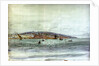 Tangiers by William Lionel Wyllie