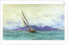 Arran by William Lionel Wyllie