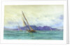Arran by William Lionel Wyllie