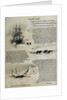 Terra Nova' in the ice with men and supplies by William Lionel Wyllie