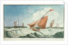 Revenue Cutter Moderate Breeze by Edward Bamfylde Eagles