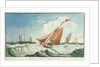 Revenue Cutter Moderate Breeze by Edward Bamfylde Eagles