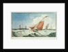 Revenue Cutter Moderate Breeze by Edward Bamfylde Eagles