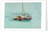 Sketch of three sailing vessels with cargo, moored alongside a larger vessel by John Fraser