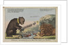 Foreign Amusements or the British Lion on the Watch (caricature) by S.W. Fores