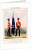 Costume of the Royal Navy & Marines. Royal Marines (Subalterns) 2d. Lt. by L. Mansion