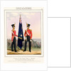 Costume of the Royal Navy & Marines. Royal Marines (Subalterns) 2d. Lt. by L. Mansion