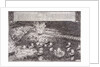 The Hellburners of Antwerp, 1585 by unknown