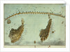 Plan of the attack by Lord Nelson, on the combined fleet, 21 October 1805 by Robert Dodd