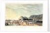 No. 7 'The troops landing at Rus ul Khyma, 13 November 1809' by R. Temple
