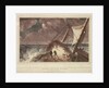 Quarter Deck of an Indiaman by Thomas Daniell