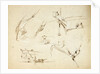 Sketches of two stern views of ships also of an anchor and rigging by Oswald Walter Brierly
