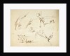 Sketches of two stern views of ships also of an anchor and rigging by Oswald Walter Brierly