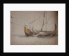 Turkish coaster or caique, Stamboul (Istanbul, Turkey), November 1855 by Oswald Walter Brierly