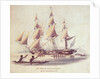 His Majesty's ship 'Blossom' off the Sandwich Islands by William Smyth