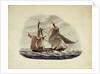 HM Sloop 'Sparrowhawk' by William Smyth