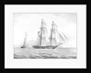 HM Brig 'Penguin' (1838) by unknown