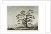 View of harbour landscape by Parkinson