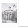 A young woman of Otaheite, bringing a present by John Webber
