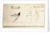 Two views of yacht and profiles of bow and stern by Willem Van de Velde the Younger