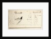 Two views of yacht and profiles of bow and stern by Willem Van de Velde the Younger