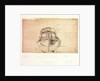 Sketch plan of the stern by Willem Van de Velde the Younger