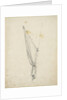 Gaff of sail by Willem Van de Velde the Younger