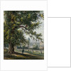 Greenwich Hospital from the park, June 1855 by Thomas Hosmer Shepherd