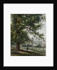 Greenwich Hospital from the park, June 1855 by Thomas Hosmer Shepherd
