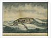 A miraclous preservation in a storm (2) by Cranshaw