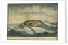A miraclous preservation in a storm (2) by Cranshaw