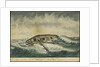 A miraclous preservation in a storm (2) by Cranshaw