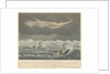 Aquatint of the loss of the West Indiaman 'Belina' on the 23rd of November1824 by George Haywood