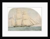 The opium clipper 'Water Witch' by unknown