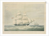 HMS 'Pearl', commanded by Lord Clarence Paget by C. Rosenberg