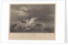 The loss of HM Steam Frigate 'Avenger', 1847 by CP Williams