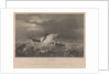 The loss of HM Steam Frigate 'Avenger', 1847 by CP Williams
