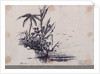 Group of trees.... Java. 1. Cocoa Tree, 2. Palm Tree, 3. Plantain by C. W. Browne