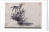 Group of trees.... Java. 1. Cocoa Tree, 2. Palm Tree, 3. Plantain by C. W. Browne