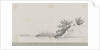 Entrance to Murray's Sound, Korea by C. W. Browne