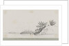 Entrance to Murray's Sound, Korea by C. W. Browne