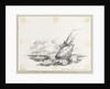 HM late sloop 'Julian' off Tristan da Cunha by C. W. Browne