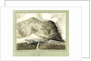 Tristan da Cunha South Atlantic by C. W. Browne