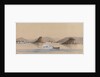 British boats in action with Chinese junks, Edgell Island Great West River 1857 by Harry Edmund Edgell
