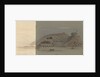 The Fort of Chuenpee? by Harry Edmund Edgell