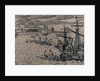 Voyage of the Dutch to the Gold Coast of Guinea, 1600 by Johannus Theodorus de Bry