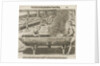 Natives hollowing tree trunks for boats, Florida 1564 by unknown