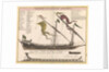 Durchschmitt einer Galere mit ihren theilen by Unknown