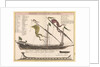 Durchschmitt einer Galere mit ihren theilen by Unknown